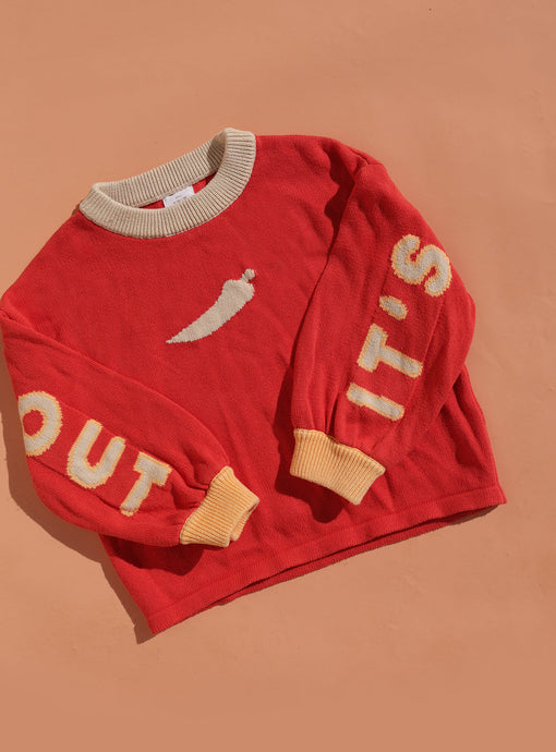 Small Swim Club It's Chilli Out Jumper
